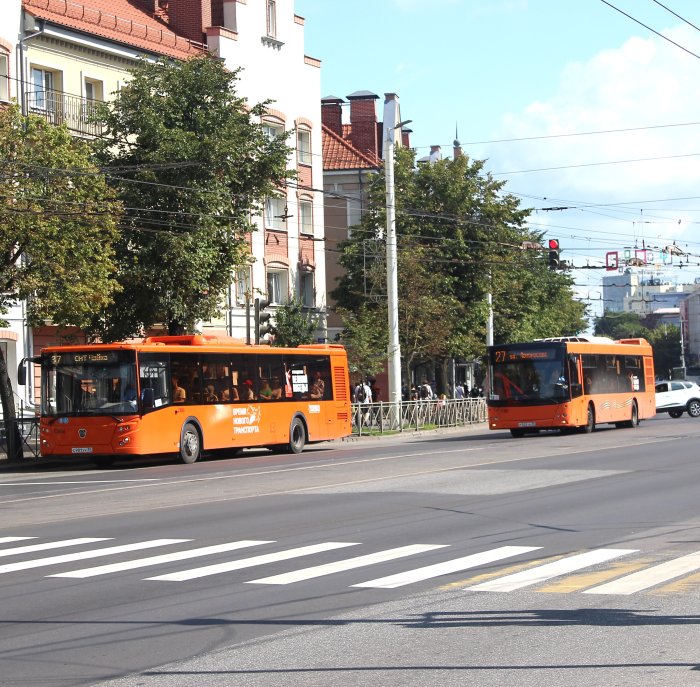 Жители Калининграда пожаловались на транспорт: разберемся в причинах