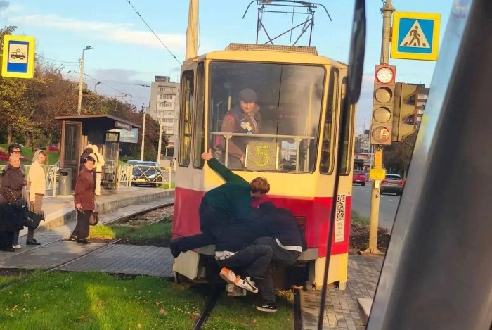 Родители, ОСТАНОВИТЕ своих детей, пока не стало ПОЗДНО!