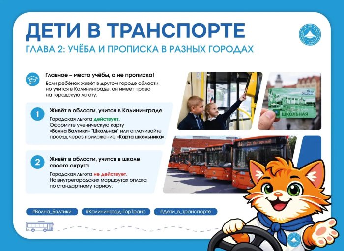 Дети в транспорте. Учёба и прописка в разных городах: как платить за проезд?