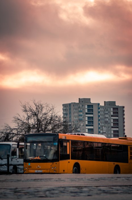 Приглашаем на обучение водителей автобуса
