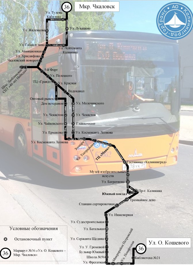 Автобус №36