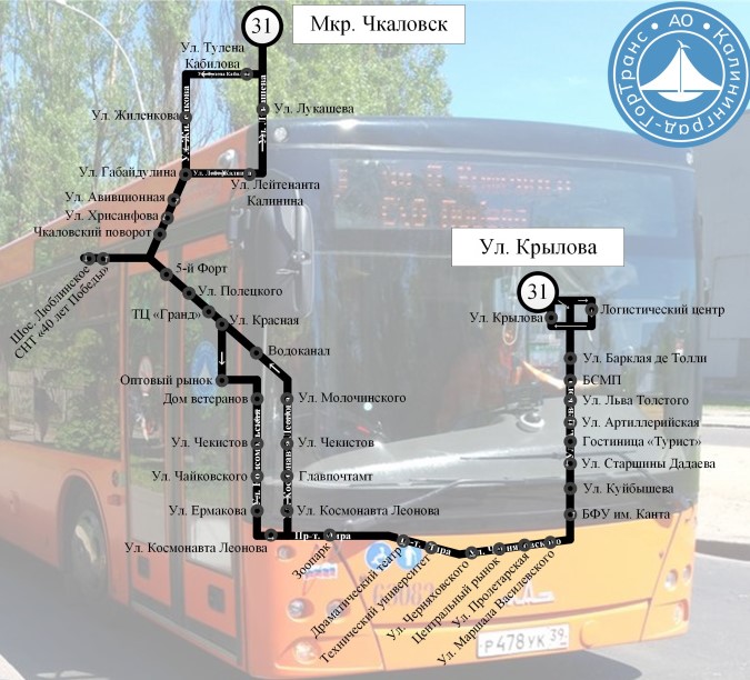 Автобус №31