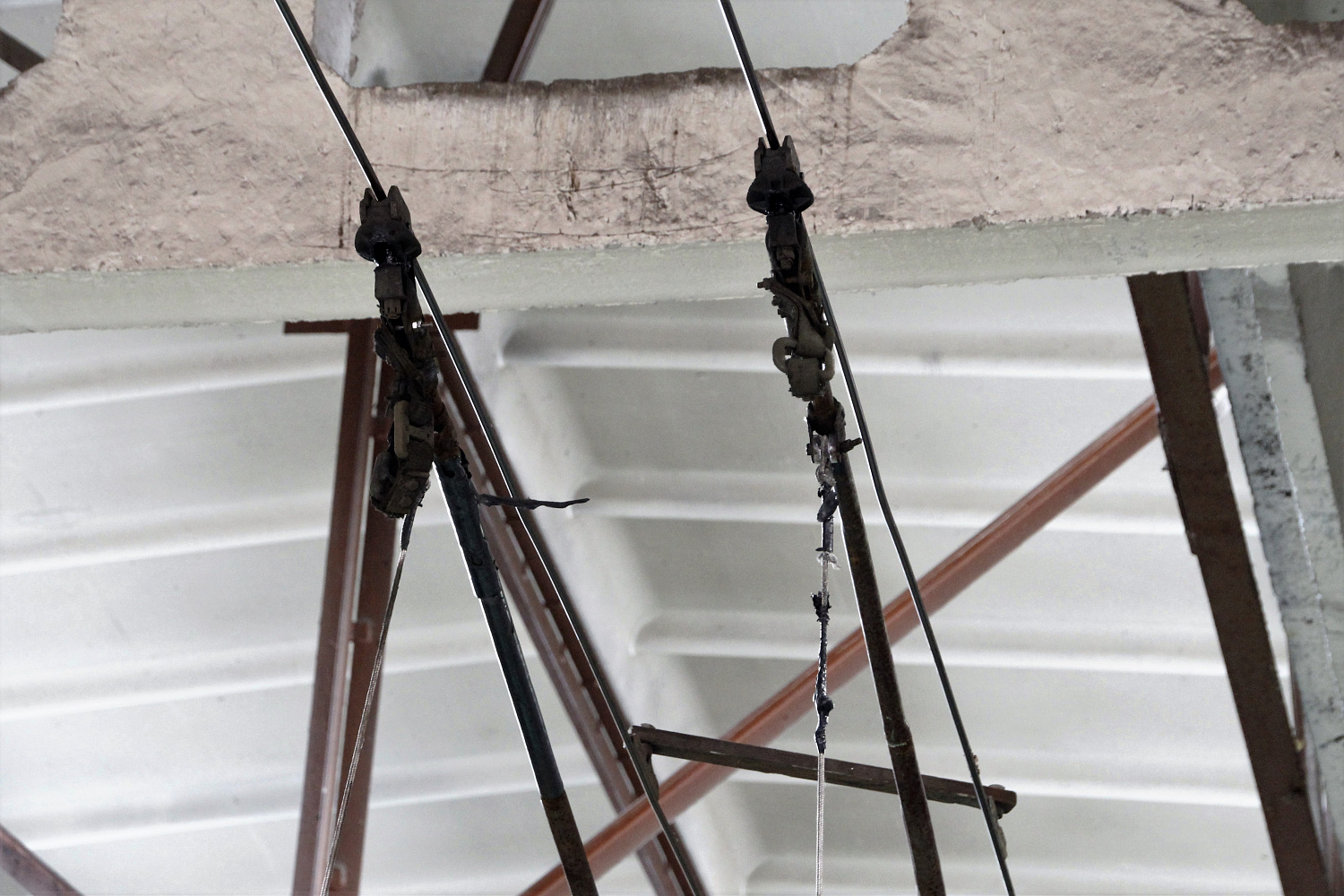 Транспорт будущего с историей прошлого: роль троллейбусов в экологии Калининграда