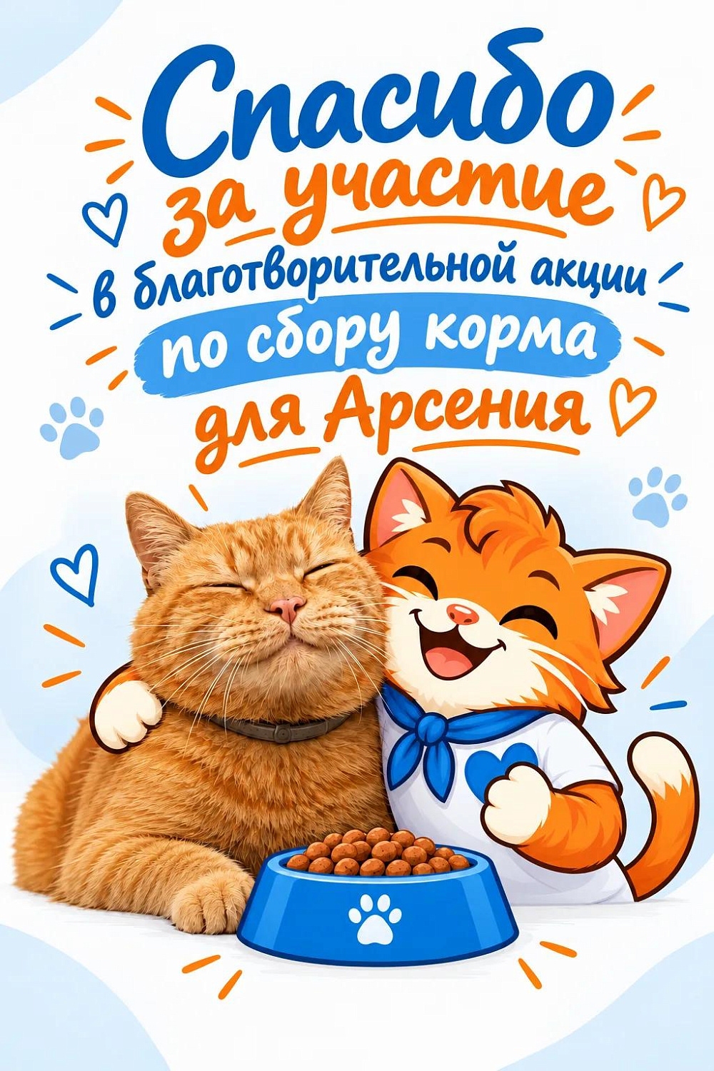 Наш рыжий талисман. Как коллектив порадовал кота Арсения